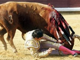 Momento del percance de Perera en Burgos. (FOTO: Tauroburgos.com/Burladero.com)